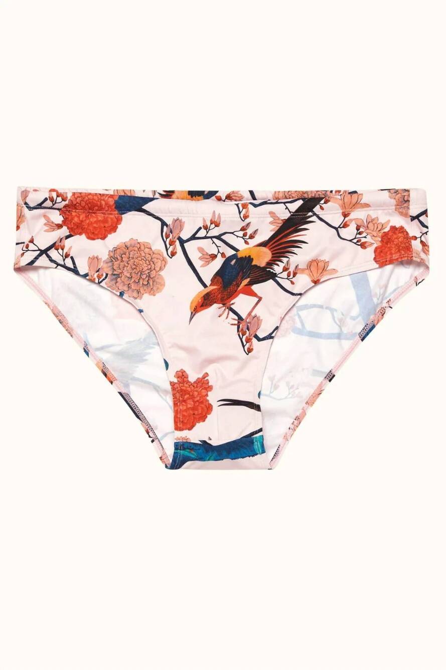 NEW ORLEBAR BROWN men's dachshund flight of fantasy swim bottoms in rose